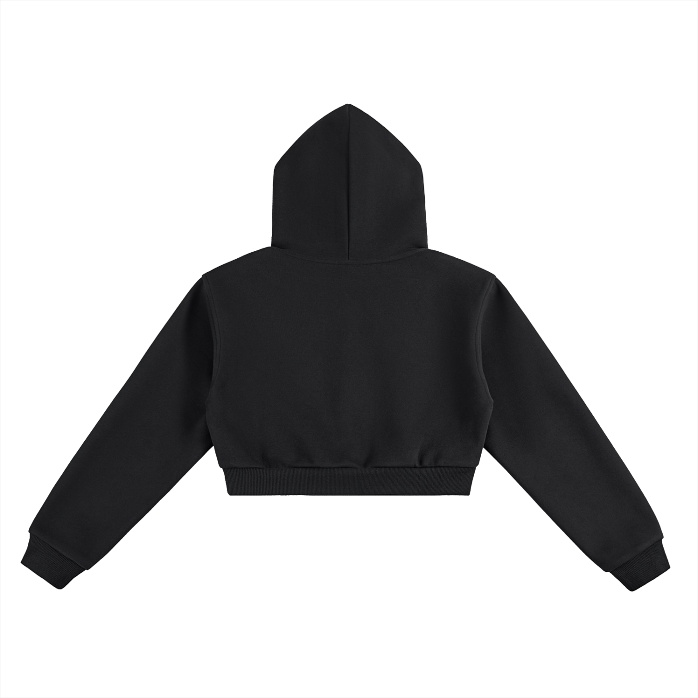 Celebrity Experience Cropped Hoodie